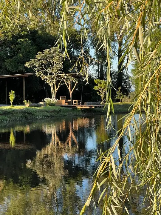 Açude e bosque
