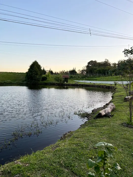 Açude e bosque